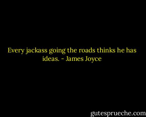 Every jackass going the roads thinks he has ideas. - James Joyce