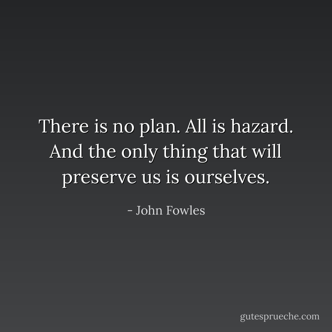 There is no plan. All is hazard. And the only thing that will preserve us is ourselves. - John Fowles