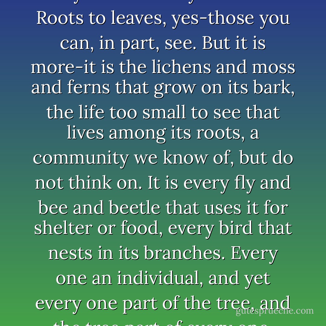 A tree is alive, and thus it is always more than you can see. Roots to leaves, yes-those you can, in part, see. But it is more-it is the lichens and moss and ferns that grow on its bark, the life too small to see that lives among its roots, a community we know of, but do not think on. It is every fly and bee and beetle that uses it for shelter or food, every bird that nests in its branches. Every one an individual, and yet every one part of the tree, and the tree part of every one. - Elizabeth Moon