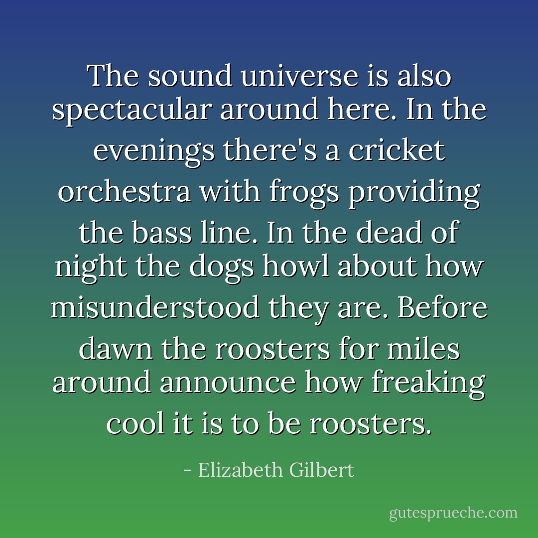 The sound universe is also spectacular around here. In the evenings there's a cricket orchestra with frogs providing the bass line. In the dead of night the dogs howl about how misunderstood they are. Before dawn the roosters for miles around announce how freaking cool it is to be roosters. - Elizabeth Gilbert