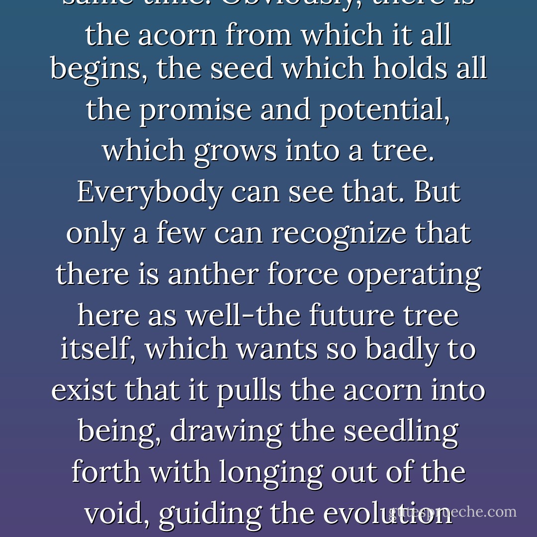 My thoughts turn to something I read once, something the Zen Buddhists believe. They say that an oak tree is brought into creation by two forces at the same time. Obviously, there is the acorn from which it all begins, the seed which holds all the promise and potential, which grows into a tree. Everybody can see that. But only a few can recognize that there is anther force operating here as well-the future tree itself, which wants so badly to exist that it pulls the acorn into being, drawing the seedling forth with longing out of the void, guiding the evolution from nothingness to maturity. In this respect, say the Zens, it is the oak tree that creates the very acorn from which it was born. - Elizabeth Gilbert