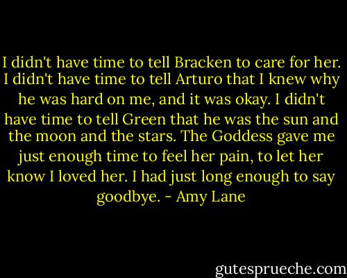 I didn't have time to tell Bracken to care for her. I didn't have time to tell Arturo that I knew why he was hard on me, and it was okay. I didn't have time to tell Green that he was the sun and the moon and the stars. The Goddess gave me just enough time to feel her pain, to let her know I loved her. I had just long enough to say goodbye. - Amy Lane