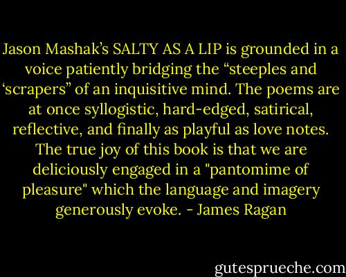 Jason Mashak’s SALTY AS A LIP is grounded in a voice patiently bridging the “steeples and ‘scrapers” of an inquisitive mind. The poems are at once syllogistic, hard-edged, satirical, reflective, and finally as playful as love notes. The true joy of this book is that we are deliciously engaged in a "pantomime of pleasure" which the language and imagery generously evoke. - James Ragan