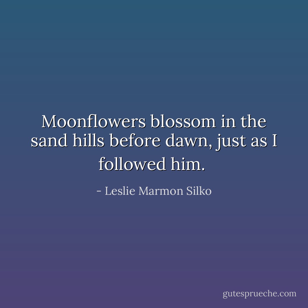 Moonflowers blossom in the sand hills before dawn, just as I followed him.  - Leslie Marmon Silko