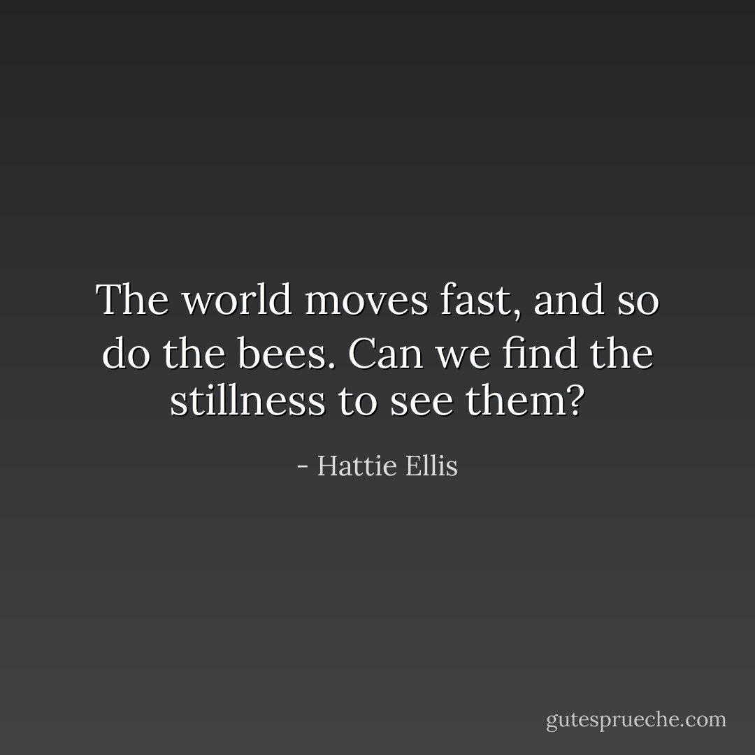 The world moves fast, and so do the bees. Can we find the stillness to see them? - Hattie Ellis