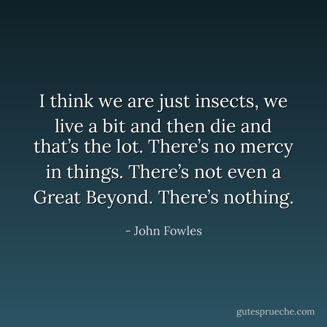 I think we are just insects, we live a bit and then die and that’s the lot. There’s no mercy in things. There’s not even a Great Beyond. There’s nothing. - John Fowles