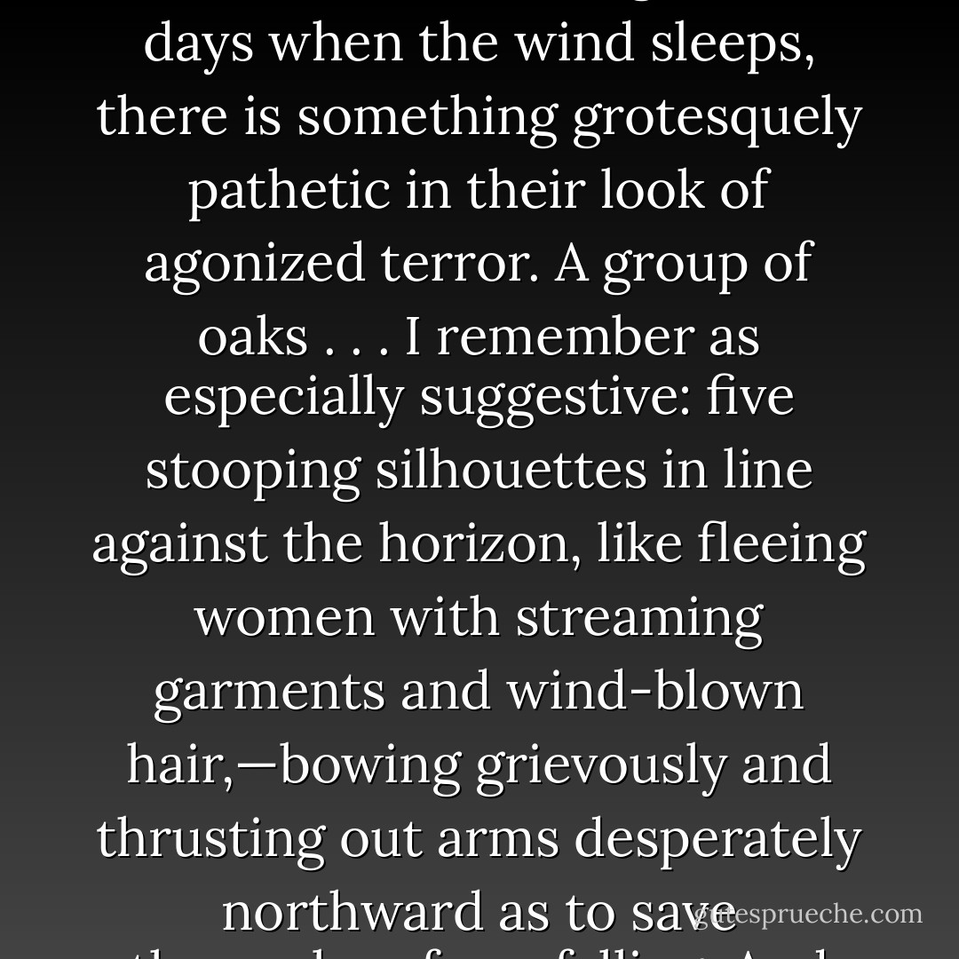 On the Gulf side of these islands you may observe that the trees—where there are any trees—all bend away from the sea; and, even of bright, hot days when the wind sleeps, there is something grotesquely pathetic in their look of agonized terror. A group of oaks . . . I remember as especially suggestive: five stooping silhouettes in line against the horizon, like fleeing women with streaming garments and wind-blown hair,—bowing grievously and thrusting out arms desperately northward as to save themselves from falling. And they are being pursued indeed;—for the sea is devouring the land. - Lafcadio Hearn
