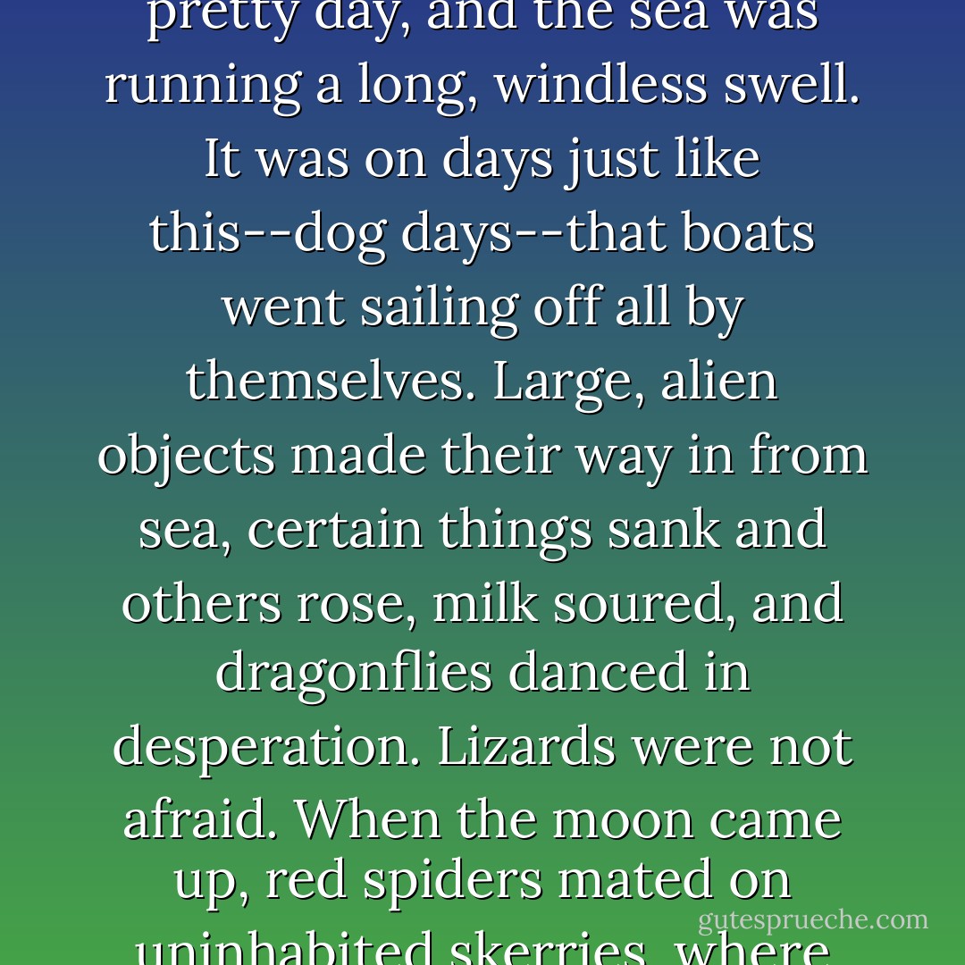 Sophia and Grandmother sat down by the shore to discuss the matter further. It was a pretty day, and the sea was running a long, windless swell. It was on days just like this--dog days--that boats went sailing off all by themselves. Large, alien objects made their way in from sea, certain things sank and others rose, milk soured, and dragonflies danced in desperation. Lizards were not afraid. When the moon came up, red spiders mated on uninhabited skerries, where the rock became an unbroken carpet of tiny, ecstatic spiders. - Tove Jansson