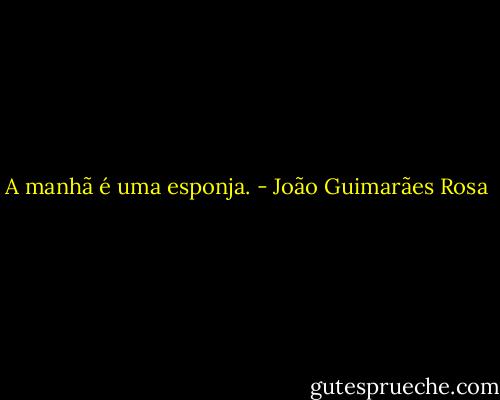 A manhã é uma esponja. - João Guimarães Rosa