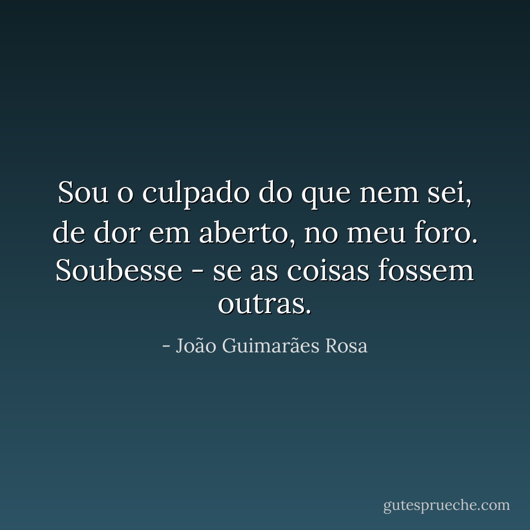 Sou o culpado do que nem sei, de dor em aberto, no meu foro. Soubesse - se as coisas fossem outras. - João Guimarães Rosa