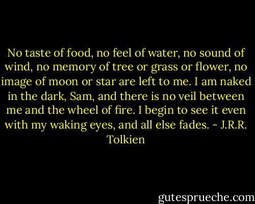 No taste of food, no feel of water, no sound of wind, no memory of tree or grass or flower, no image of moon or star are left to me. I am naked in the dark, Sam, and there is no veil between me and the wheel of fire. I begin to see it even with my waking eyes, and all else fades. - J.R.R. Tolkien