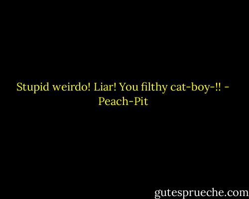 Stupid weirdo! Liar! You filthy cat-boy-!! - Peach-Pit