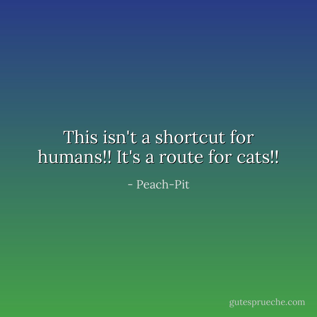 This isn't a shortcut for humans!! It's a route for cats!! - Peach-Pit