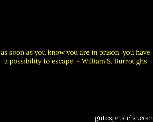 as soon as you know you are in prison, you have a possibility to escape. - William S. Burroughs