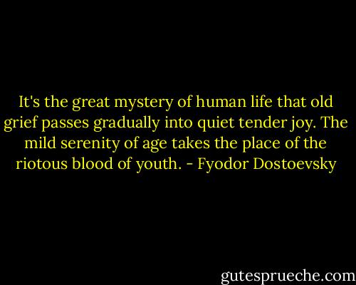 It's the great mystery of human life that old grief passes gradually into quiet tender joy. The mild serenity of age takes the place of the riotous blood of youth. - Fyodor Dostoevsky