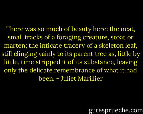 There was so much of beauty here: the neat, small tracks of a foraging creature, stoat or marten; the inticate tracery of a skeleton leaf, still clinging vainly to its parent tree as, little by little, time stripped it of its substance, leaving only the delicate remembrance of what it had been. - Juliet Marillier
