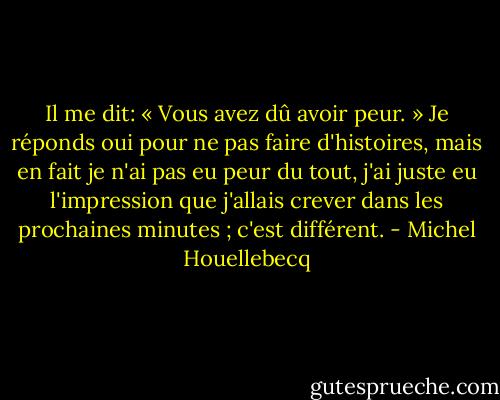 Il me dit: « Vous avez dû avoir peur. » Je réponds oui pour ne pas faire d'histoires, mais en fait je n'ai pas eu peur du tout, j'ai juste eu l'impression que j'allais crever dans les prochaines minutes ; c'est différent. - Michel Houellebecq