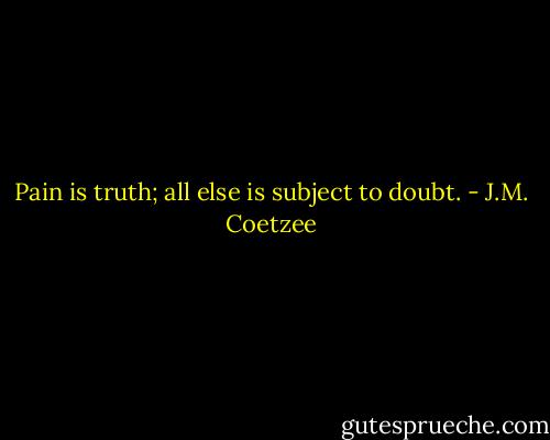 Pain is truth; all else is subject to doubt. - J.M. Coetzee