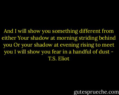 And I will show you something different from either<br />Your shadow at morning striding behind you<br />Or your shadow at evening rising to meet you<br />I will show you fear in a handful of dust - T.S. Eliot