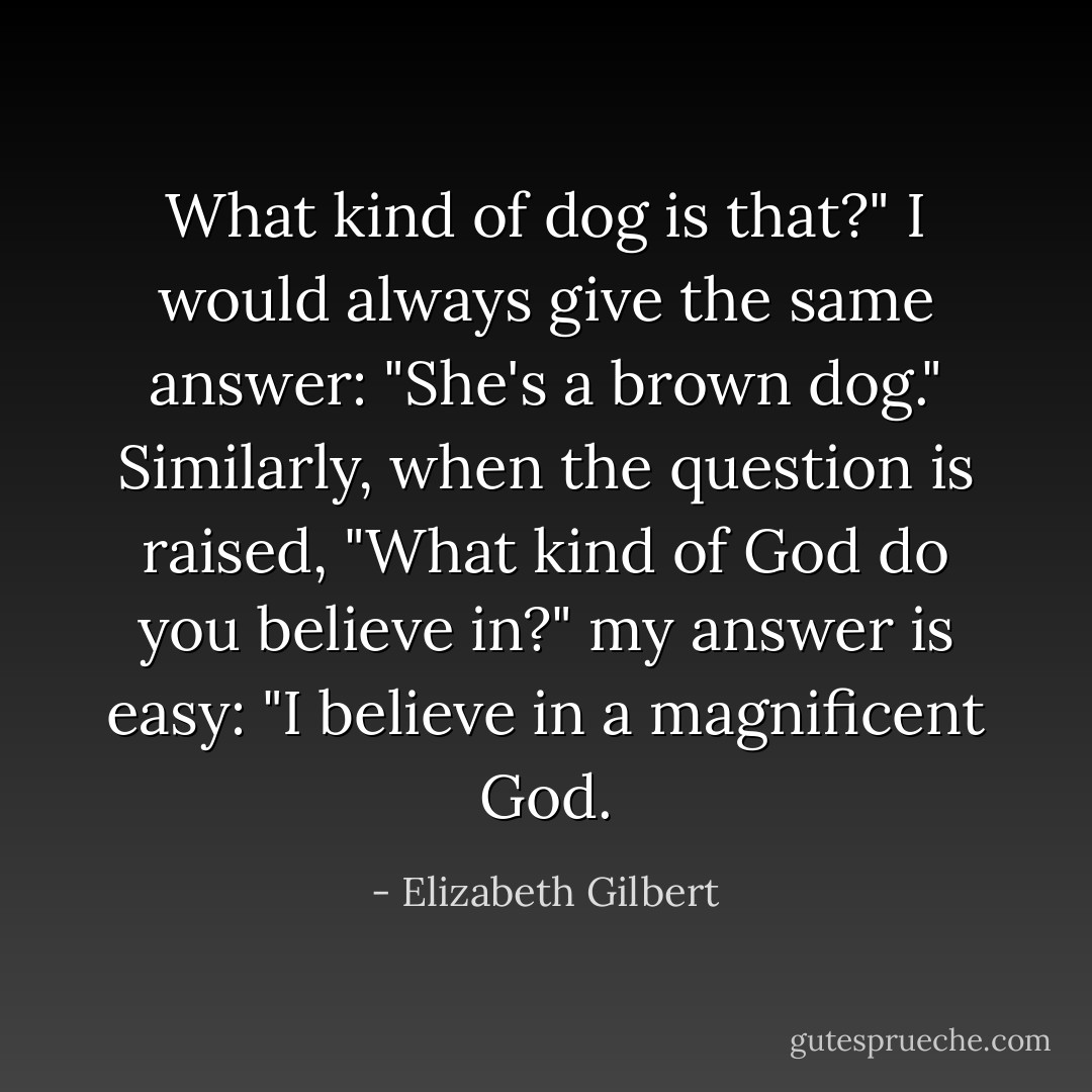 What kind of dog is that?" I would always give the same answer: "She's a brown dog." Similarly, when the question is raised, "What kind of God do you believe in?" my answer is easy: "I believe in a magnificent God. - Elizabeth Gilbert
