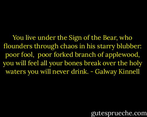 You live<br />under the Sign<br />of the Bear, who flounders through chaos<br />in his starry blubber:<br />poor fool, <br />poor forked branch<br />of applewood, you will feel all your bones break<br />over the holy waters you will never drink. - Galway Kinnell