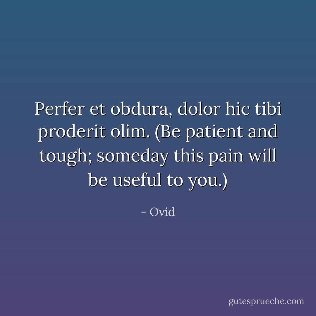 Perfer et obdura, dolor hic tibi proderit olim. (Be patient and tough; someday this pain will be useful to you.) - Ovid