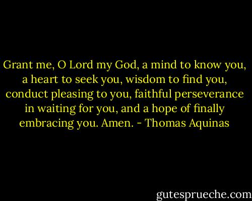 Grant me, O Lord my God, a mind to know you, a heart to seek you, wisdom to find you, conduct pleasing to you, faithful perseverance in waiting for you, and a hope of finally embracing you. Amen. - Thomas Aquinas