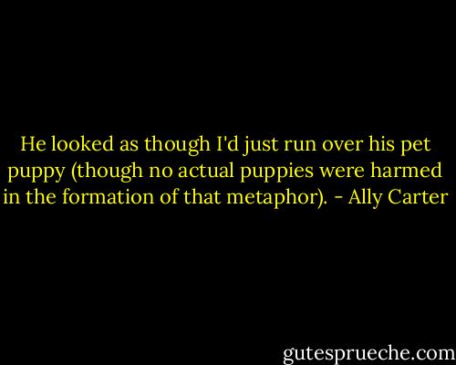 He looked as though I'd just run over his pet puppy (though no actual puppies were harmed in the formation of that metaphor). - Ally Carter