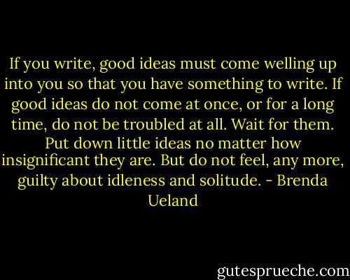 If you write, good ideas must come welling up into you so that you have something to write. If good ideas do not come at once, or for a long time, do not be troubled at all. Wait for them. Put down little ideas no matter how insignificant they are. But do not feel, any more, guilty about idleness and solitude. - Brenda Ueland