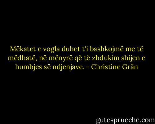 Mëkatet e vogla duhet t'i bashkojmë me të mëdhatë, në mënyrë që të zhdukim shijen e humbjes së ndjenjave. - Christine Grän