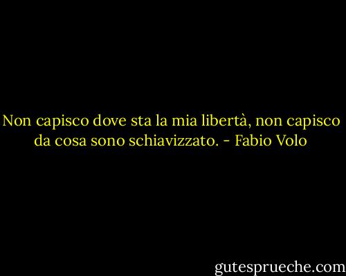 Non capisco dove sta la mia libertà, non capisco da cosa sono schiavizzato. - Fabio Volo