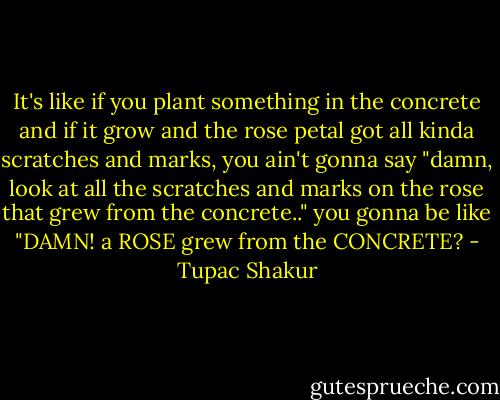 It's like if you plant something in the concrete and if it grow and the rose petal got all kinda scratches and marks, you ain't gonna say "damn, look at all the scratches and marks on the rose that grew from the concrete.." you gonna be like "DAMN! a ROSE grew from the CONCRETE? - Tupac Shakur