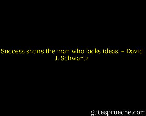 Success shuns the man who lacks ideas. - David J. Schwartz