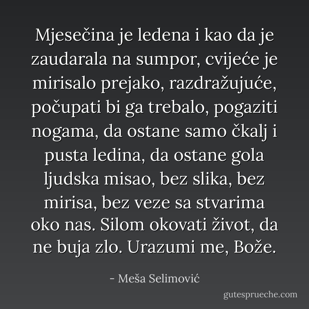 Mjesečina je ledena i kao da je zaudarala na sumpor, cvijeće je mirisalo prejako, razdražujuće, počupati bi ga trebalo, pogaziti nogama, da ostane samo čkalj i pusta ledina, da ostane gola ljudska misao, bez slika, bez mirisa, bez veze sa stvarima oko nas. Silom okovati život, da ne buja zlo. Urazumi me, Bože. - Meša Selimović
