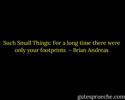 Such Small Things:<br />For a long time there were only your footprints  - Brian Andreas