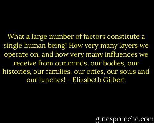 What a large number of factors constitute a single human being! How very many layers we operate on, and how very many influences we receive from our minds, our bodies, our histories, our families, our cities, our souls and our lunches! - Elizabeth Gilbert