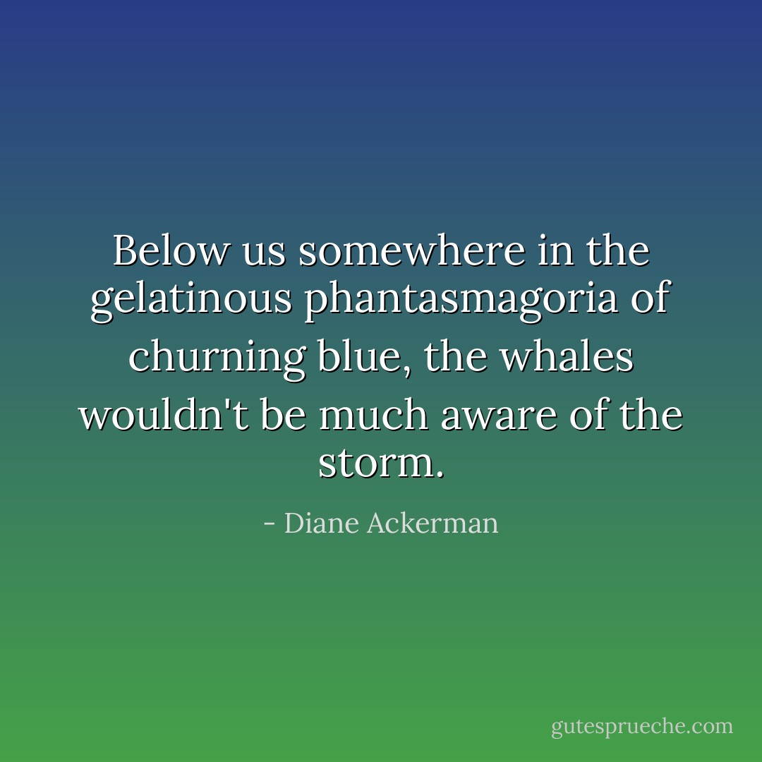 Below us somewhere in the gelatinous phantasmagoria of churning blue, the whales wouldn't be much aware of the storm. - Diane Ackerman
