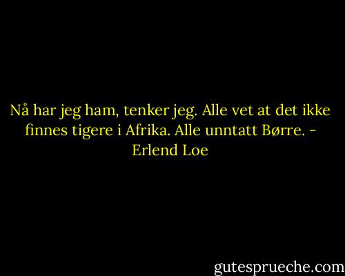 Nå har jeg ham, tenker jeg. Alle vet at det ikke finnes tigere i Afrika. Alle unntatt Børre. - Erlend Loe