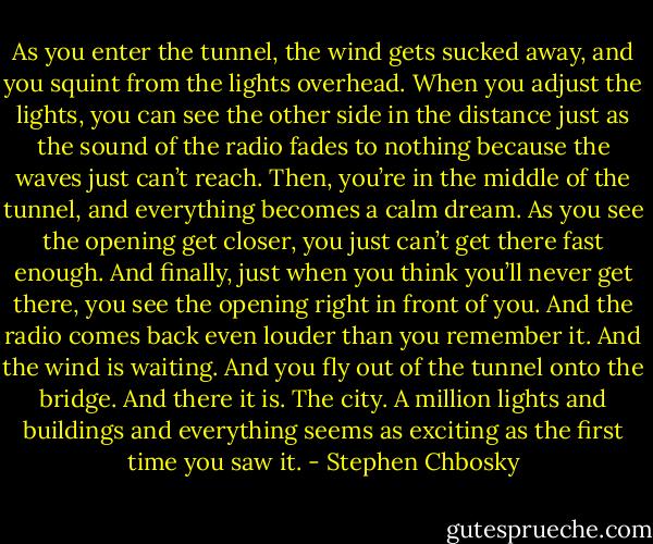 As you enter the tunnel, the wind gets sucked away, and you squint from the lights overhead. When you adjust the lights, you can see the other side in the distance just as the sound of the radio fades to nothing because the waves just can’t reach. Then, you’re in the middle of the tunnel, and everything becomes a calm dream. As you see the opening get closer, you just can’t get there fast enough. And finally, just when you think you’ll never get there, you see the opening right in front of you. And the radio comes back even louder than you remember it. And the wind is waiting. And you fly out of the tunnel onto the bridge. And there it is. The city. A million lights and buildings and everything seems as exciting as the first time you saw it. - Stephen Chbosky