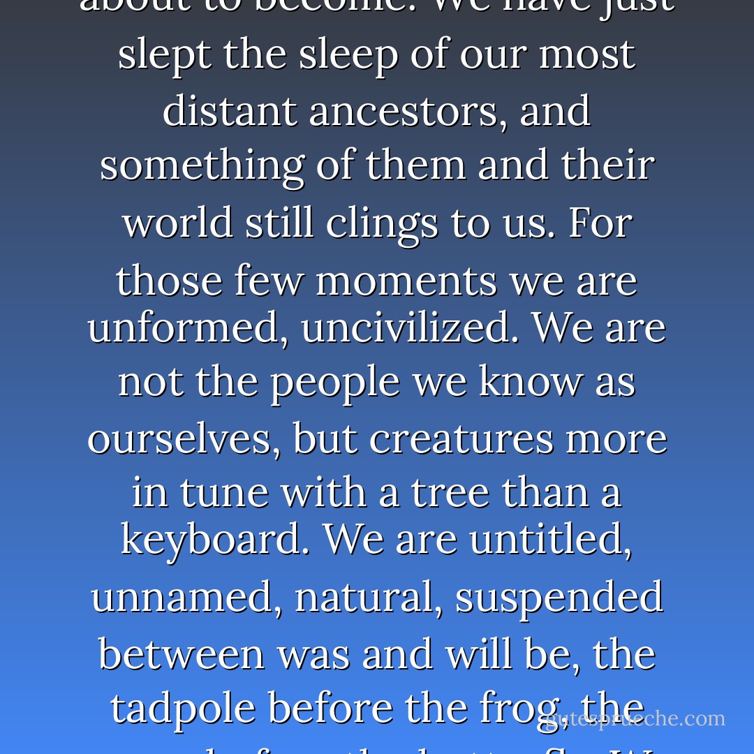 It's in the morning, for most of us. It's that time, those few seconds when we're coming out of sleep but we're not really awake yet. For those few seconds we're something more primitive than what we are about to become. We have just slept the sleep of our most distant ancestors, and something of them and their world still clings to us. For those few moments we are unformed, uncivilized. We are not the people we know as ourselves, but creatures more in tune with a tree than a keyboard. We are untitled, unnamed, natural, suspended between was and will be, the tadpole before the frog, the worm before the butterfly. We are for a few brief moments, anything and everything we could be. And then...and then -- ah -- we open our eyes and the day is before us and ... we become ourselves. - Jerry Spinelli