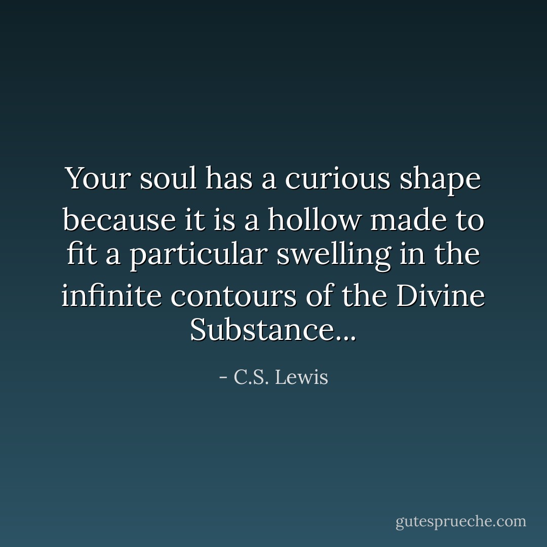 Your soul has a curious shape because it is a hollow made to fit a particular swelling in the infinite contours of the Divine Substance... - C.S. Lewis