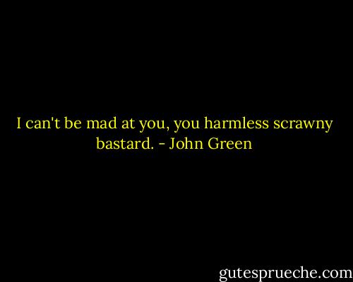 I can't be mad at you, you harmless scrawny bastard. - John Green