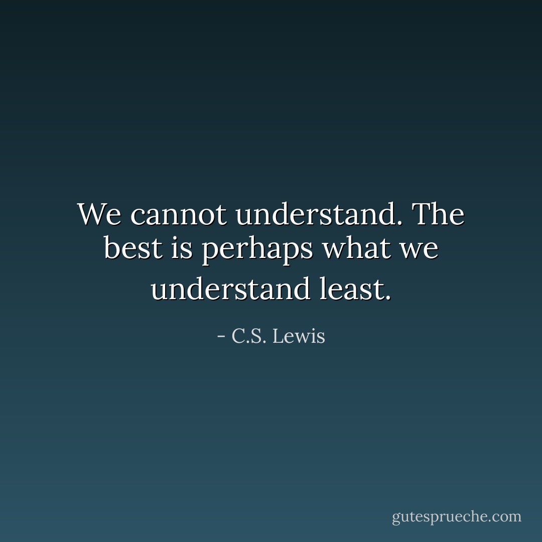 We cannot understand. The best is perhaps what we understand least. - C.S. Lewis