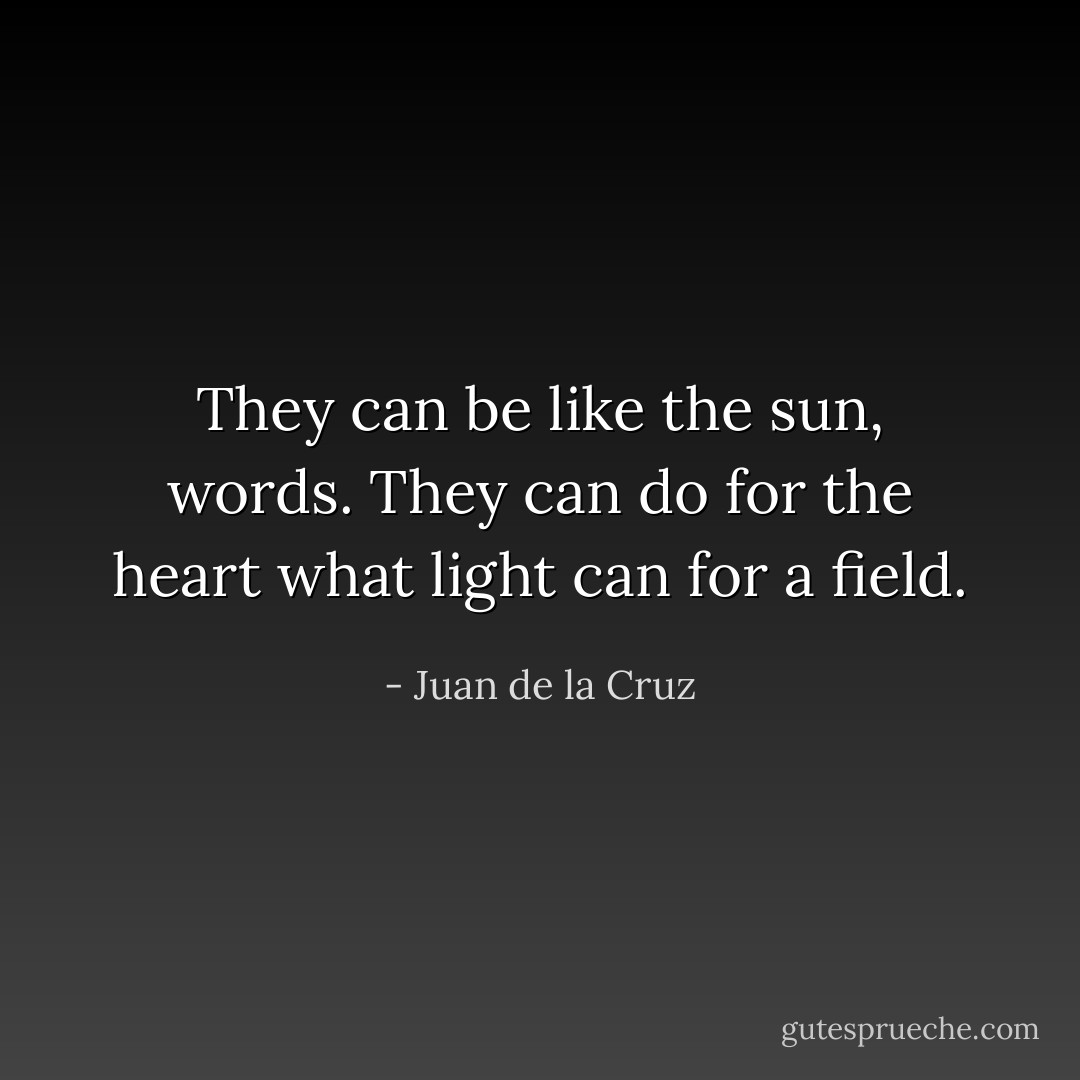 They can be like the sun, words.<br />They can do for the heart what light can for a field. - Juan de la Cruz
