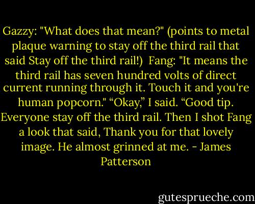 Gazzy: "What does that mean?" (points to metal plaque warning to stay off the third rail that said Stay off the third rail!) <br />Fang: "It means the third rail has seven hundred volts of direct current running through it. Touch it and you're human popcorn."<br />“Okay,” I said. “Good tip. Everyone stay off the third rail.<br />Then I shot Fang a look that said, Thank you for that lovely image. He almost grinned at me. - James Patterson