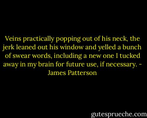 Veins practically popping out of his neck, the jerk leaned out his window and yelled a bunch of swear words, including a new one I tucked away in my brain for future use, if necessary. - James Patterson