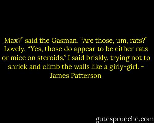 Max?” said the Gasman. “Are those, um, rats?”<br />Lovely. “Yes, those do appear to be either rats or mice on steroids,” I said briskly, trying not to shriek and climb the walls like a girly-girl. - James Patterson