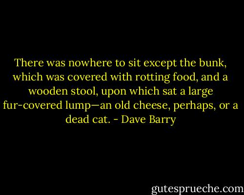 There was nowhere to sit except the bunk, which was covered with rotting food, and a wooden stool, upon which sat a large fur-covered lump—an old cheese, perhaps, or a dead cat. - Dave Barry