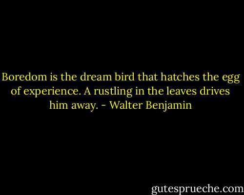 Boredom is the dream bird that hatches the egg of experience. A rustling in the leaves drives him away. - Walter Benjamin