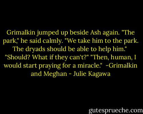 Grimalkin jumped up beside Ash again. "The park," he said calmly. "We take him to the park. The dryads should be able to help him." <br />"Should? What if they can't?"<br />"Then, human, I would start praying for a miracle."<br /><br />-Grimalkin and Meghan - Julie Kagawa